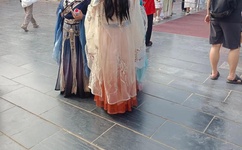 免费无遮挡又黄又爽网站